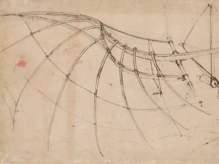 Leonardo da Vinci Erfindung - Bionischer Flügel