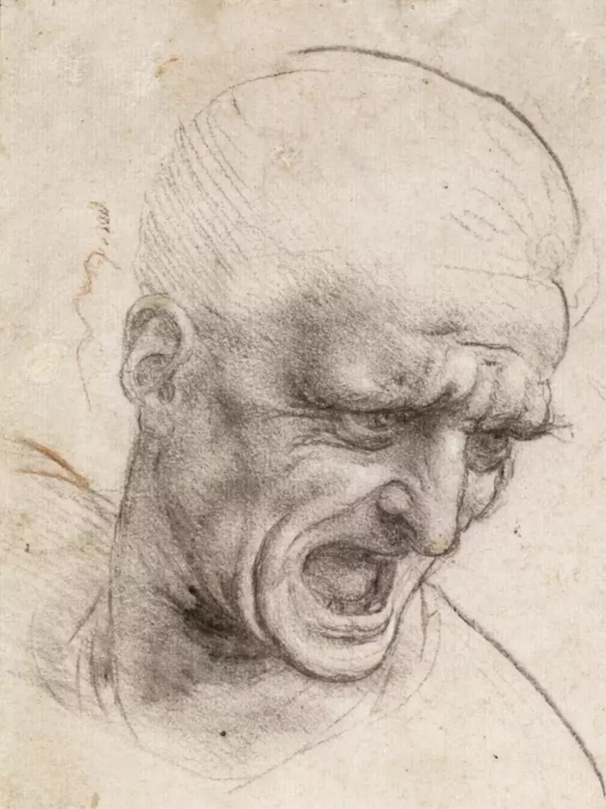 Leonardo da Vinci - Studie zweier Köpfe für die Schlacht von Anghiari