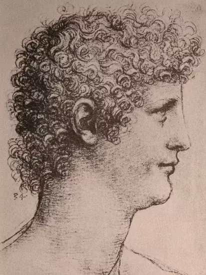 Leonardo da Vinci – Zeichnung eines jungen Mannes (Salai?)