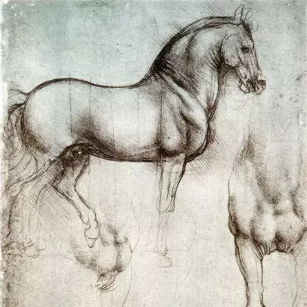 Leonardo da Vinci – Zeichnung von einem Pferd