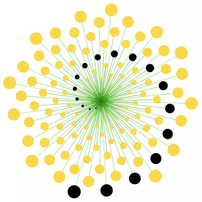 Goldener Winkel – Spirale mit jedem 8. Winkel markiert