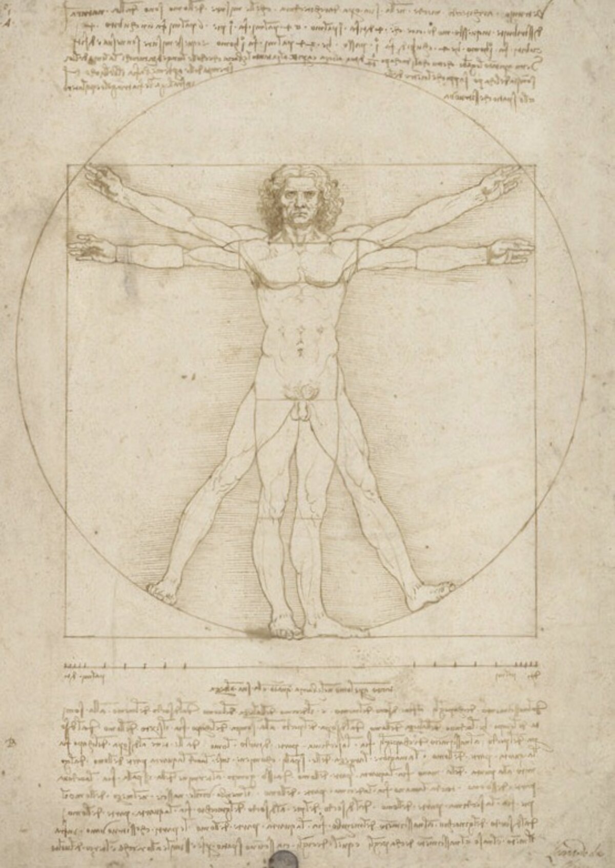 Vitruvianischer Mensch – Leonardo da Vinci