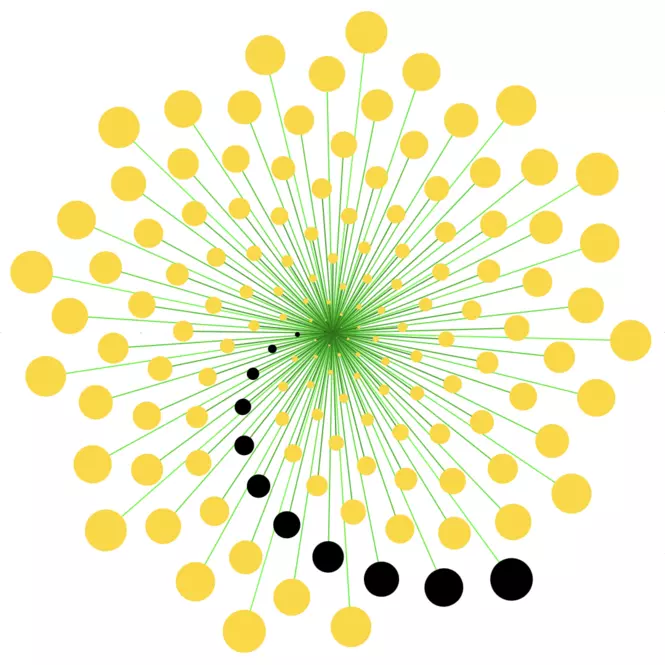 Goldener Winkel – Spirale mit jedem 13. Winkel markiert