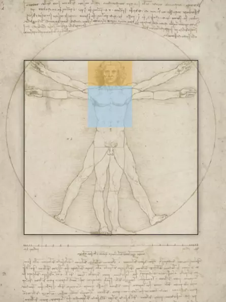 Leonardo da Vincis Vitruvianischer Mensch - Goldener Schnitt des Oberkörpers