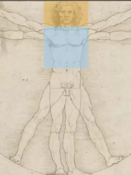 Leonardo da Vincis Vitruvianischer Mensch - Goldener Schnitt des Oberkörpers