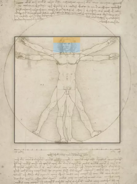 Leonardo da Vincis Vitruvianischer Mensch - Goldener Schnitt des Kopfes