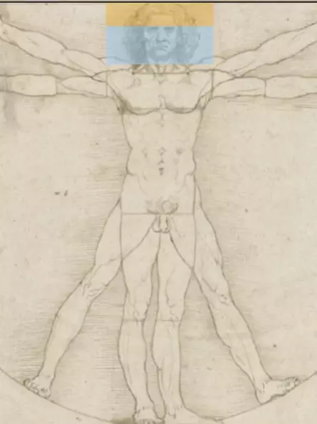 Leonardo da Vincis Vitruvianischer Mensch - Goldener Schnitt des Kopfes
