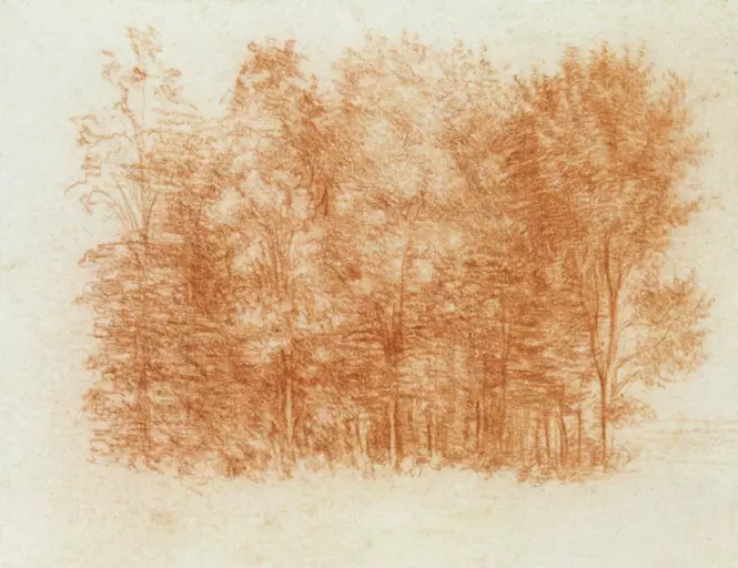 Leonardo da Vinci - Baumgruppe