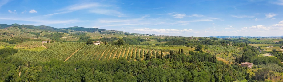 Die toskanische Landschaft um das Dorf Vinci