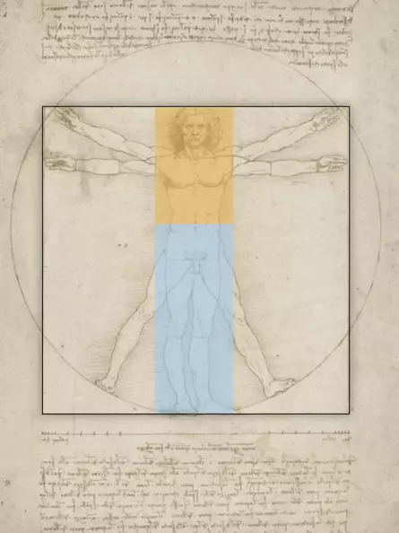 Leonardo da Vincis Vitruvianischer Mensch - Goldener Schnitt der Körperhöhe