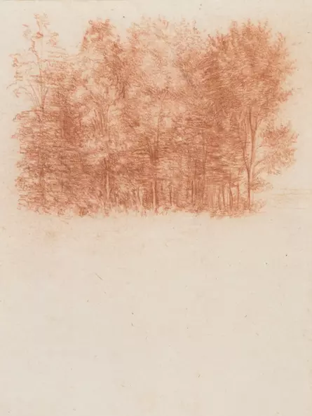 Leonardo da Vinci - Zeichnung einer Baumgruppe