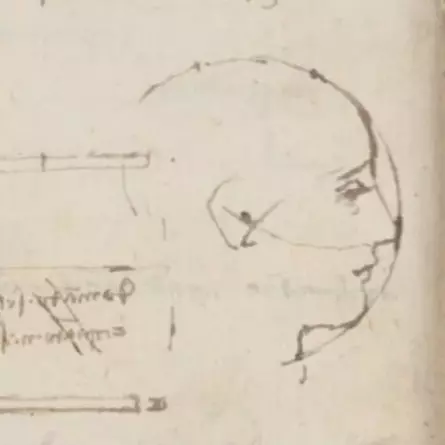 Leonardo da Vinci - Zeichnung eines Kopfes im Profil und Umkreis