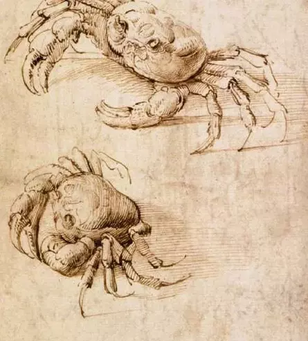 Leonardo da Vinci - Krabben