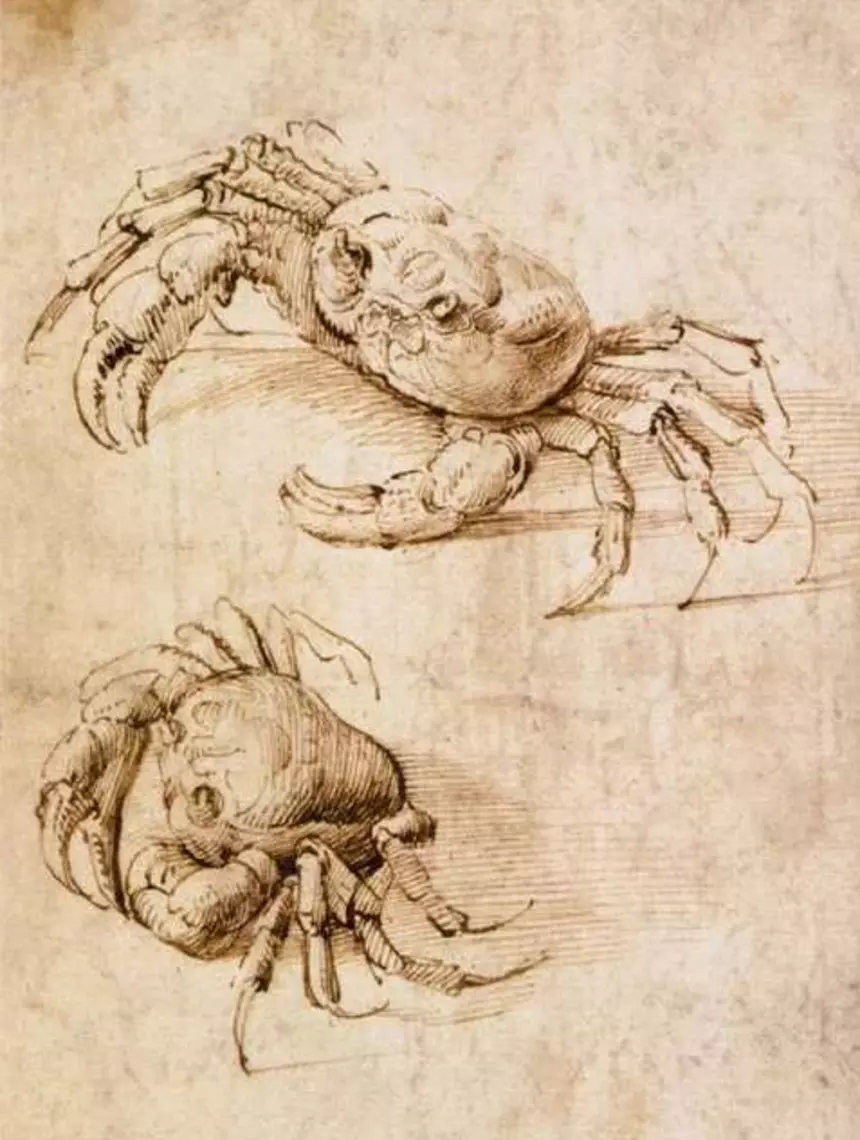 Leonardo da Vinci - Krabben
