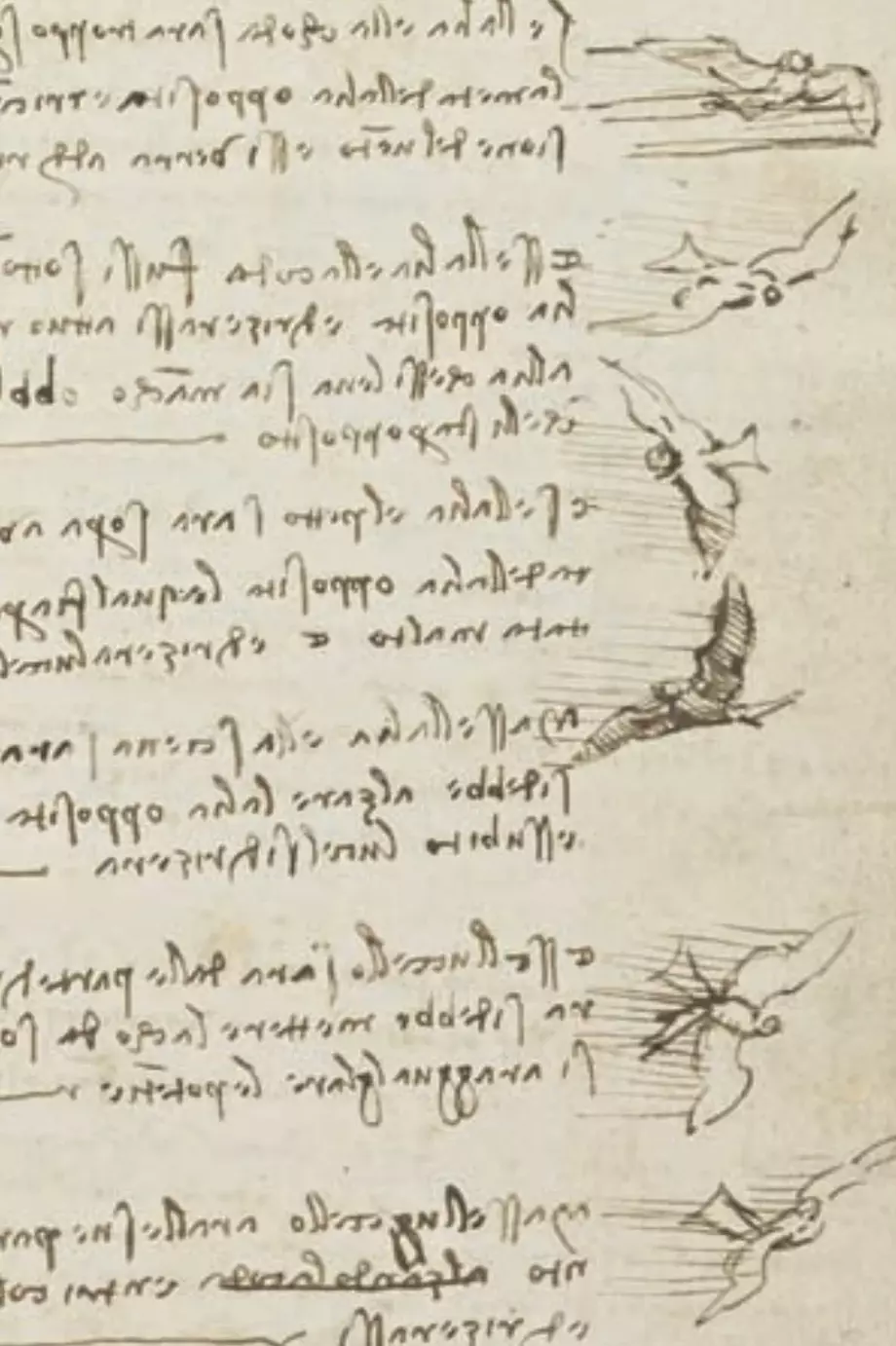 Leonardo da Vinci – Studien zum Flug der Vögel