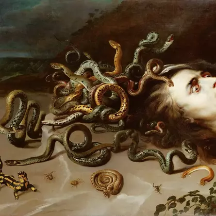 Haupt der Medusa – Peter Paul Rubens