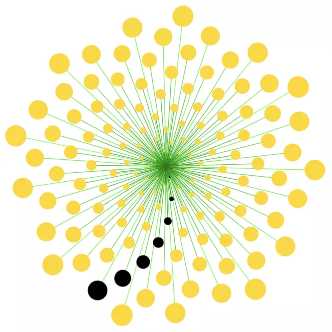 Goldener Winkel – Spirale mit jedem 12. Winkel markiert