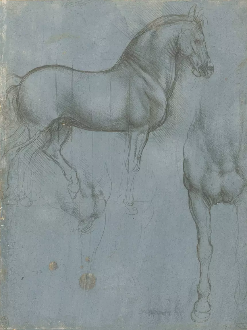 Leonardo da Vinci – Pferdestudie