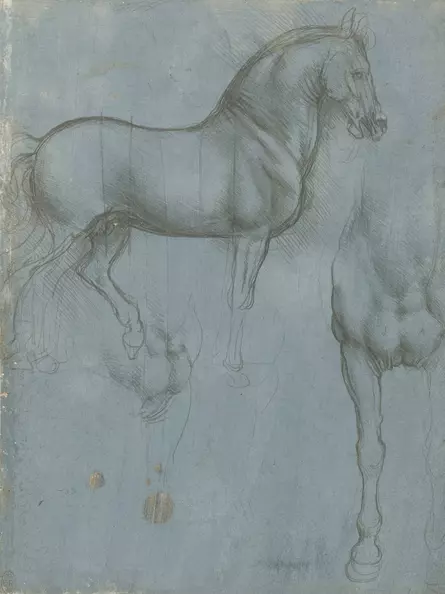 Leonardo da Vinci – Pferdestudie
