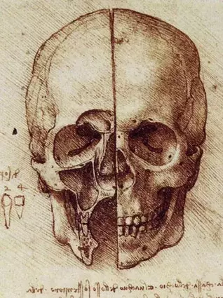 Leonardo da Vinci – Zeichnung eines Schädels