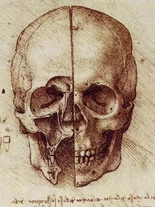Leonardo da Vinci – Zeichnung eines Schädels