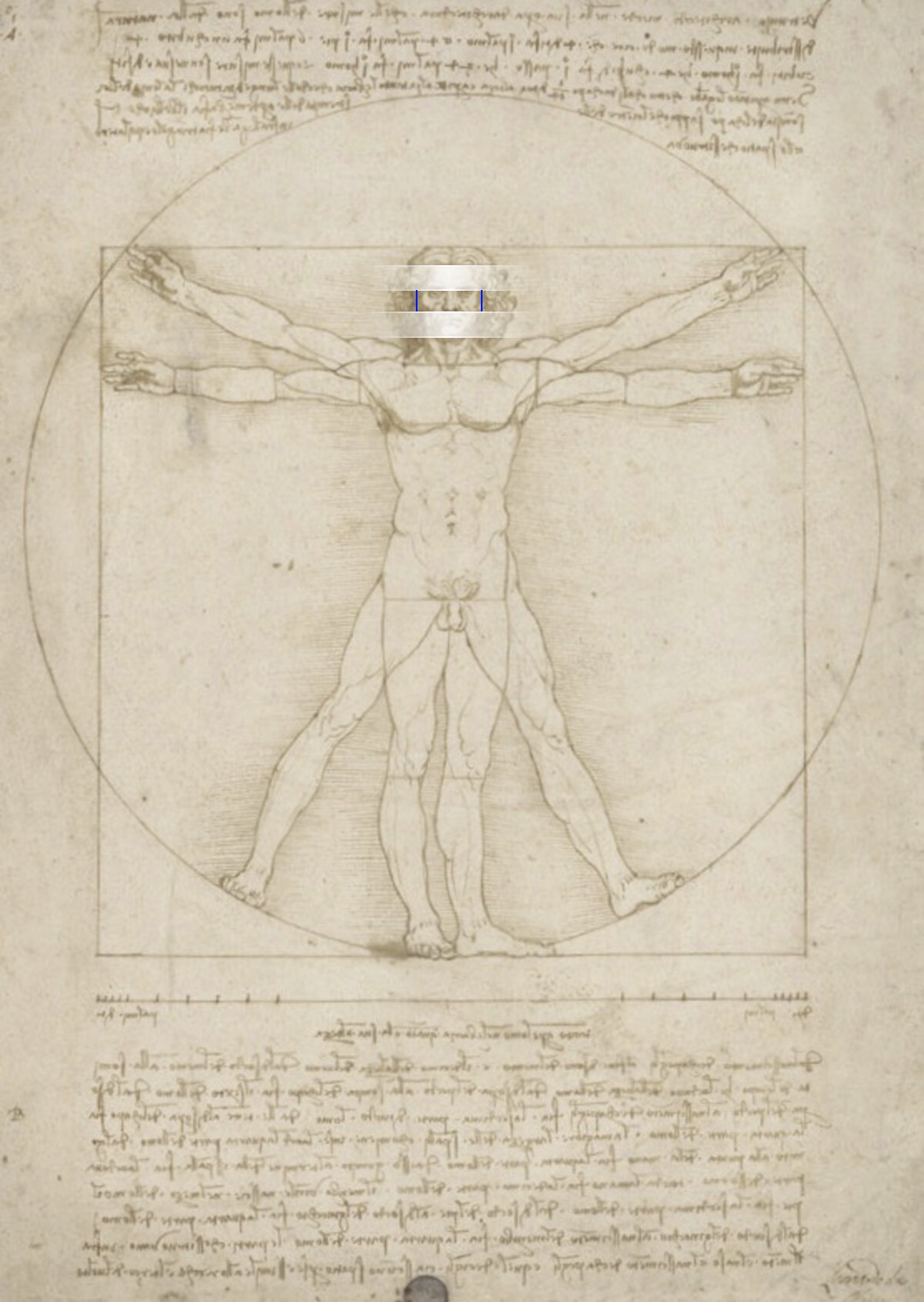 The Vitruvian Man - simply explained